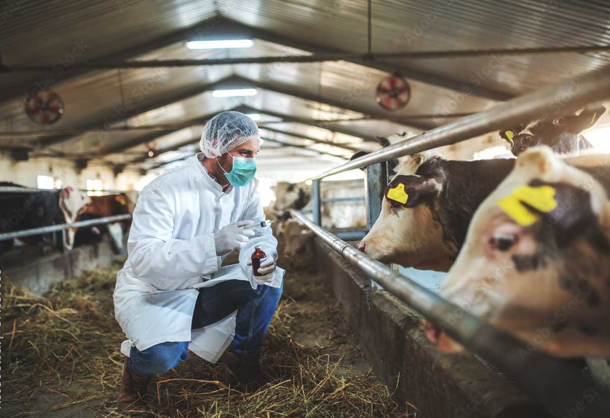 Animal Health & Nutrition | JBAndrews | Outstanding Market Knowledge Animal Health & Nutrition | JBAndrews | Outstanding Market Knowledge